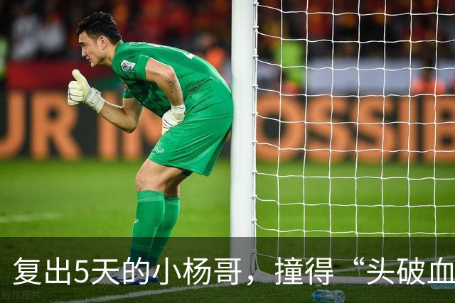 复出5天的小杨哥，撞得“头破血流”